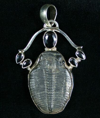 Sterling Silver Elrathia Trilobite Pendant #7044